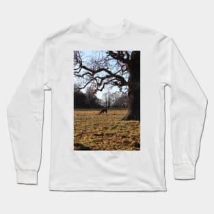 Wild deer grazing in forest Long Sleeve T-Shirt